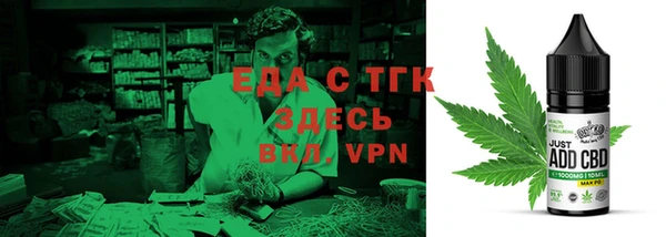 индика Медногорск